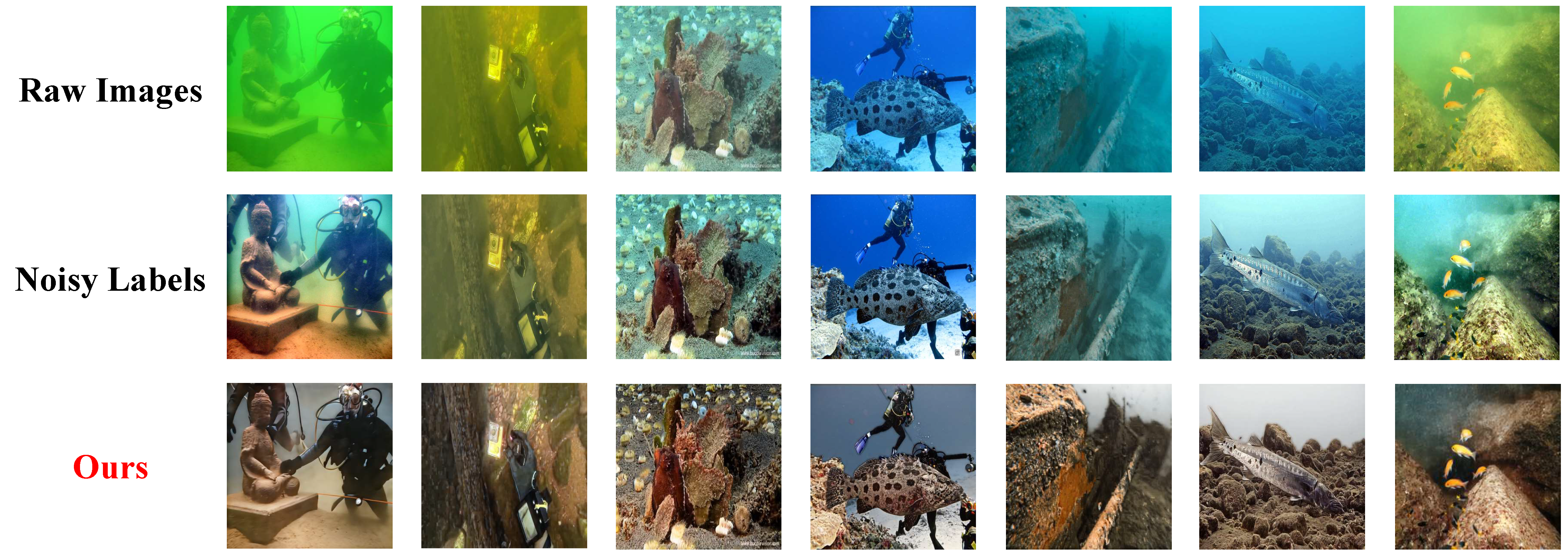 Visual Results