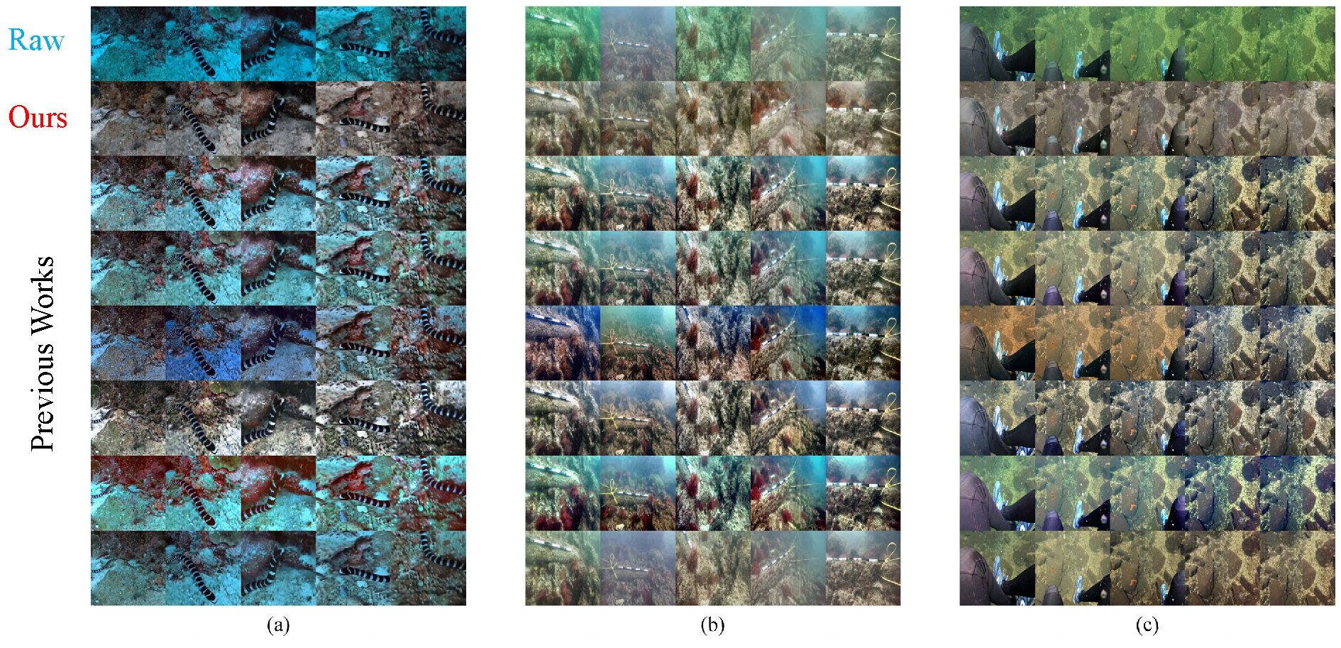 Visual Results